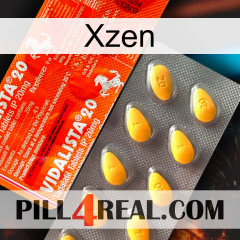 Xzen new01